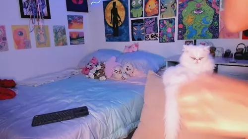 meowblue from Cherry is Freechat