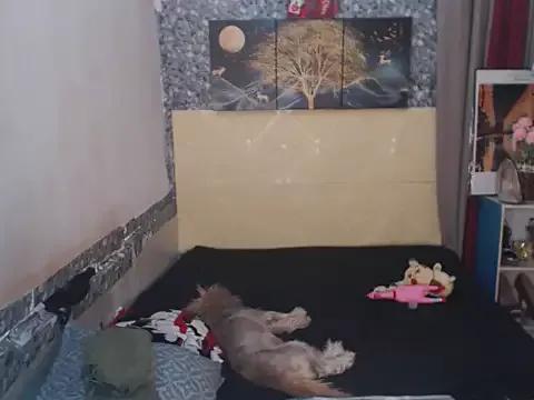 Alexandriasexycock4u from StripChat is Freechat