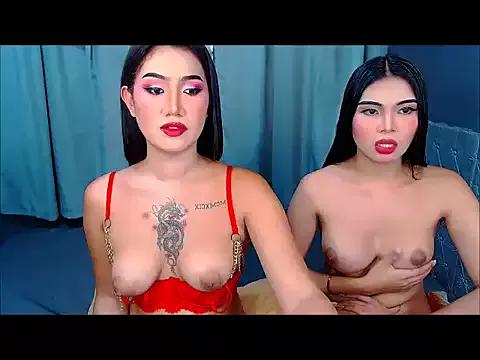 Mad beauty - checkout our excited streamers as they tease to their beloved melodies and slowly squirt for enjoyment to appease your wildest wishes.