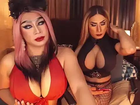 Mad beauty - checkout our excited streamers as they tease to their beloved melodies and slowly squirt for enjoyment to appease your wildest wishes.