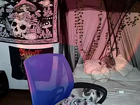 Mad beauty - checkout our excited streamers as they tease to their beloved melodies and slowly squirt for enjoyment to appease your wildest wishes.