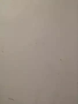 CandyCol from StripChat is Freechat