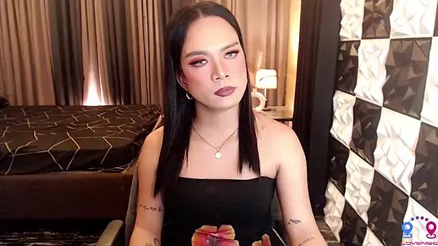 MajesticStella from StripChat is Freechat