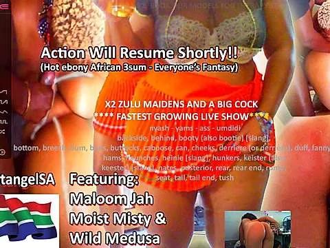 Mad beauty - checkout our excited streamers as they tease to their beloved melodies and slowly squirt for enjoyment to appease your wildest wishes.