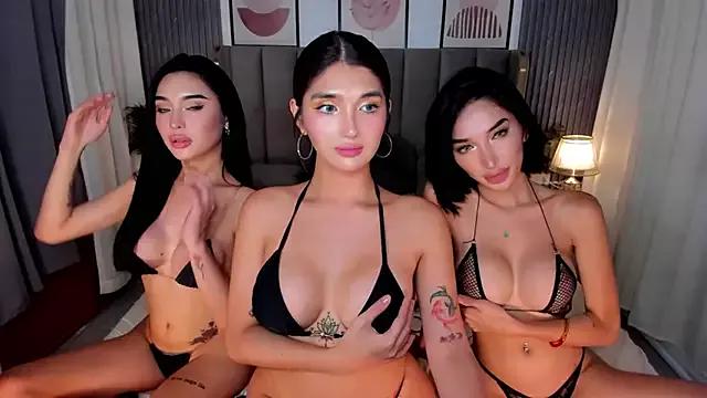 Mad beauty - checkout our excited streamers as they tease to their beloved melodies and slowly squirt for enjoyment to appease your wildest wishes.