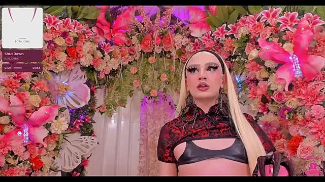 Mad beauty - checkout our excited streamers as they tease to their beloved melodies and slowly squirt for enjoyment to appease your wildest wishes.