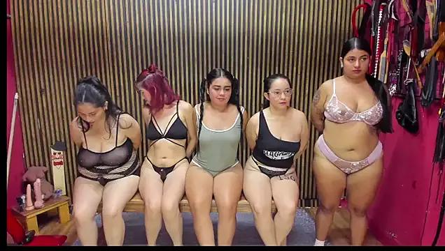 Mad beauty - checkout our excited streamers as they tease to their beloved melodies and slowly squirt for enjoyment to appease your wildest wishes.