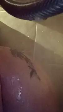 whitetrashdirtyslut from StripChat is Freechat