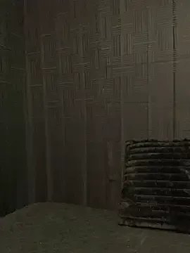 Rakiyahcharms — Nude twerk/sexy dance